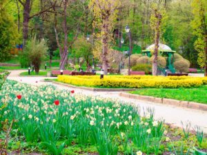 відпочинок в Трускавці