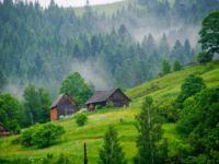 Интересный и полезный летний отдых в Карпатах