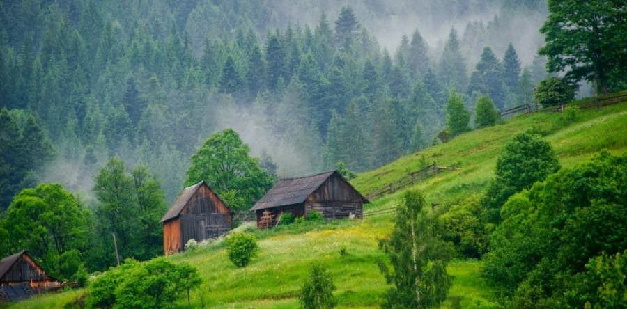 Интересный и полезный летний отдых в Карпатах